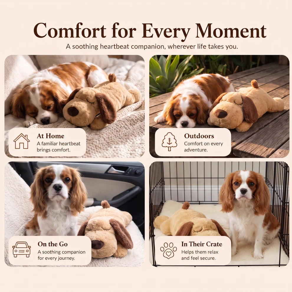 Calm & Comfort Dog Heartbeat Toy